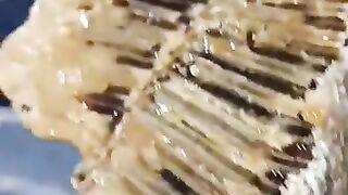 Real honey from the forest