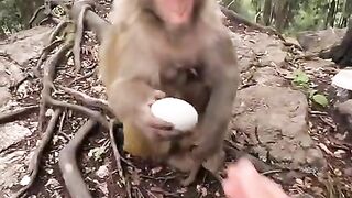 #FunVideo 87