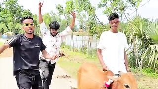 Funny Video 436
