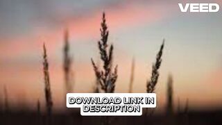 New** [Video Completo 18++] melissa gate video videos de melissa gate karina garcÃ­a yina calderon erome