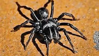Les miracles scientifiques dans le Coran et la Sunna 2 2