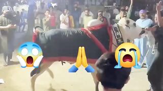 Eid funny videos 1