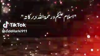 Video online dekhne ke liye Skipper chahiye