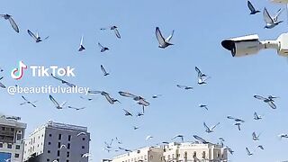 Islamic video 240