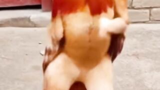 Full funny ???????????? 2