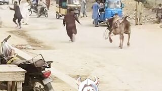 Eid Spicical Gift Video????????