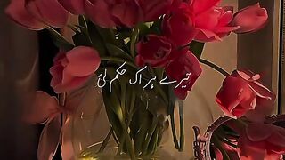 Amazing video song lyrics 10