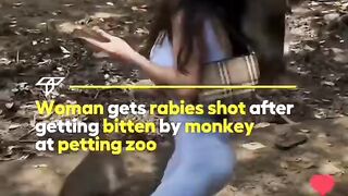 Monkey Attack Caught on Camera!