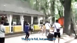 Some incredible moments caught on camera