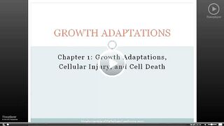 Pathoma lecture Growth and adaptation 1.1