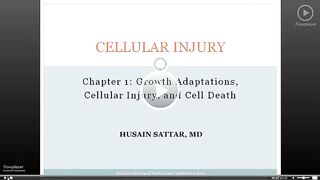 Pathoma Cellular injury 1.2