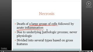 Pathoma cell death 1.3