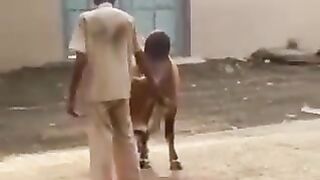 Very funny and comedy video
