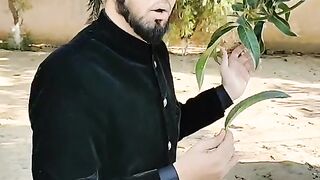 Bahot piyara Kalam