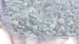 flying birds