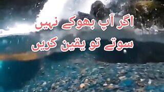 سب سے بہتر رزق دینے والا اللہ ہی ہے