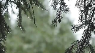 Rain sound
