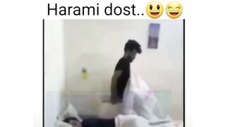 Funny video