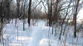Winter Nature Snow Walking Video – No Copyright Free Stock Footage – Only Nature Sound (No Music).