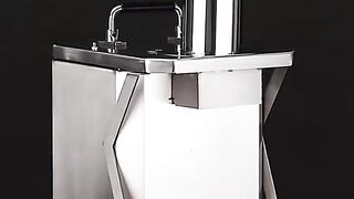 Newhai commercial vegetable chopper automatic fruit dicing machine