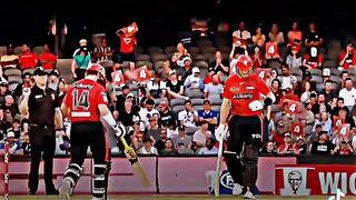 Cricket power