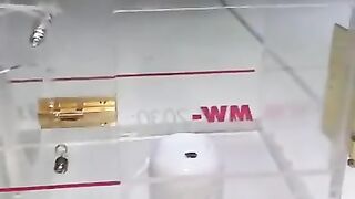 Birds on the Brink Sanctuary 2023