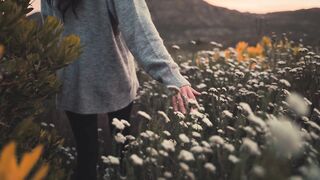 Beautiful flowers
