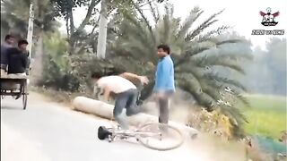 Funny video
