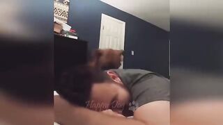 Funny animals - Funny cats - dogs - Funny animal videos