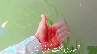 Follow 19