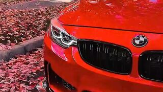 Car love 2