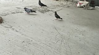 They can make your time into happiness