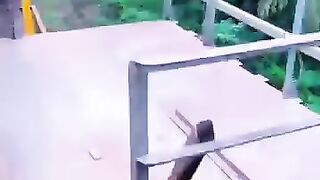 Tera Hee Talaash