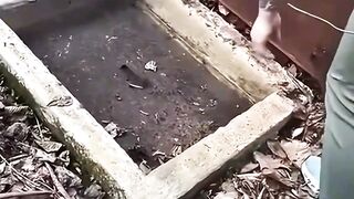 mystery monoester in my houses