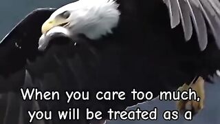 Be wise