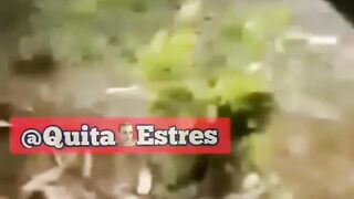 Fanny video 99