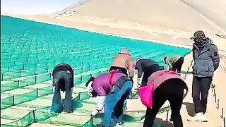 Why Is China Laying Nets in the Desert? The Real Reason Will Shock You! ???????? #shorts  Like  119  Share