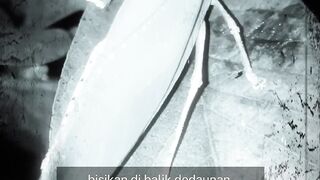 Bisikan di Balik Dedaunan
