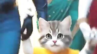 Nice video 293