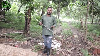 भारत का सबसे जहरीला सांप