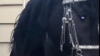拍一张很喜欢的照片配炙热的歌???? ????❤️