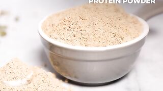 Best High Protein Powder