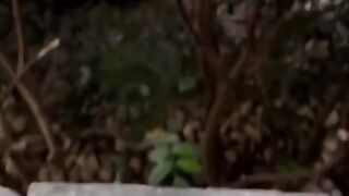#funnyreels 11