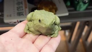 #FunVideo 97
