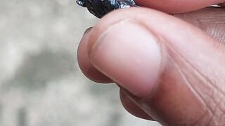 I Found a Rare Hematite Stone in My Backyard!
