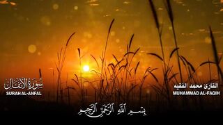 سورة الأنفال كاملة للقارئ محمد الفقيه  Mohammed Al Fakih Surah Al Anfal