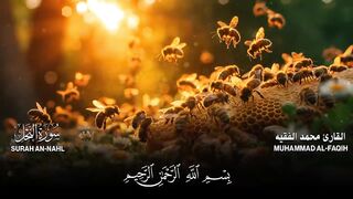 سورة النحل كاملة (مكتوبة ) للقارئ الشيخ محمد الفقيه _ تلاوة خاشعة ومؤثرة
