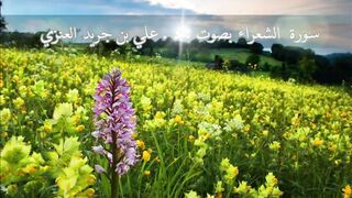 سورة الشعراء - علي جريد