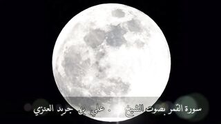 سورة القمر - علي جريد