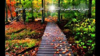 سورة يوسف - علي جريد
